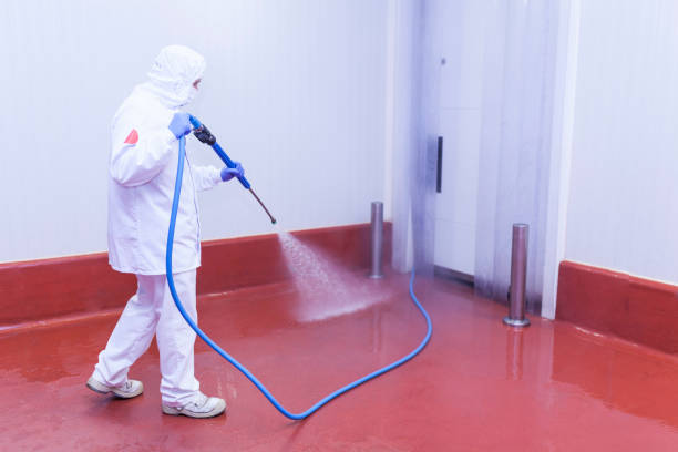 Best Spring Cleaning  in Glen Ellen, CA